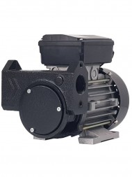 Gespasa IRON-50 230V AC - Самовсасывающий роторный лопастной электронасос для ДТ