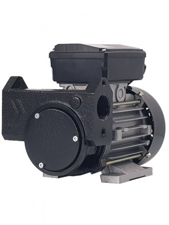 Gespasa IRON-50 230V AC - Самовсасывающий роторный лопастной электронасос для ДТ